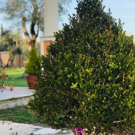 L'eremo Luxury Apartment Roda (Corfu)